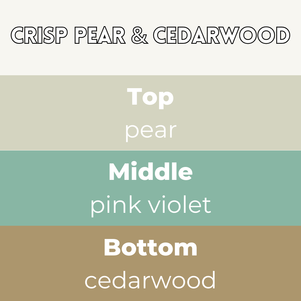 Crisp Pear & Cedarwood Segment Wax Melt - Image 2