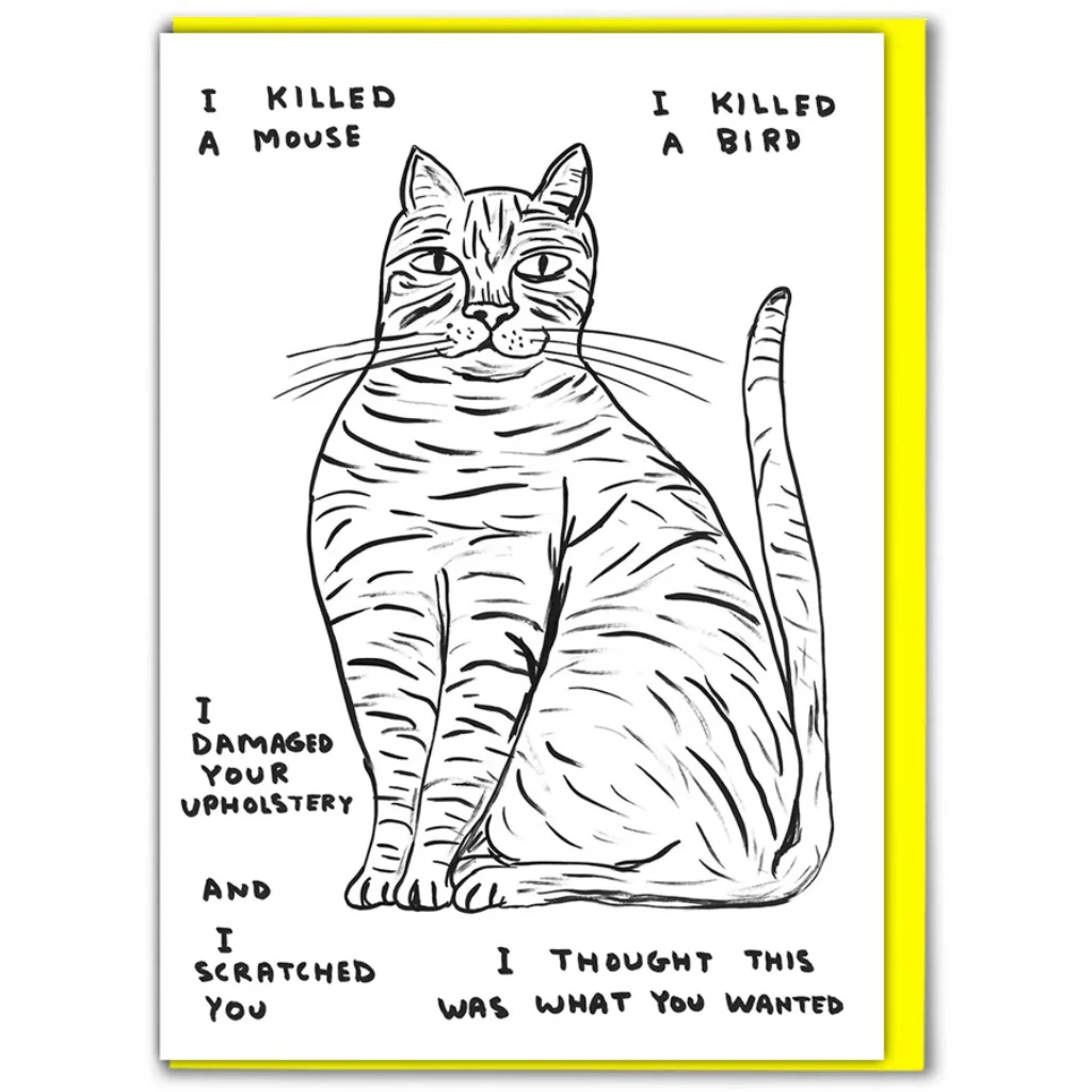 David Shrigley Cat Card – I Thought This Was What You Wanted