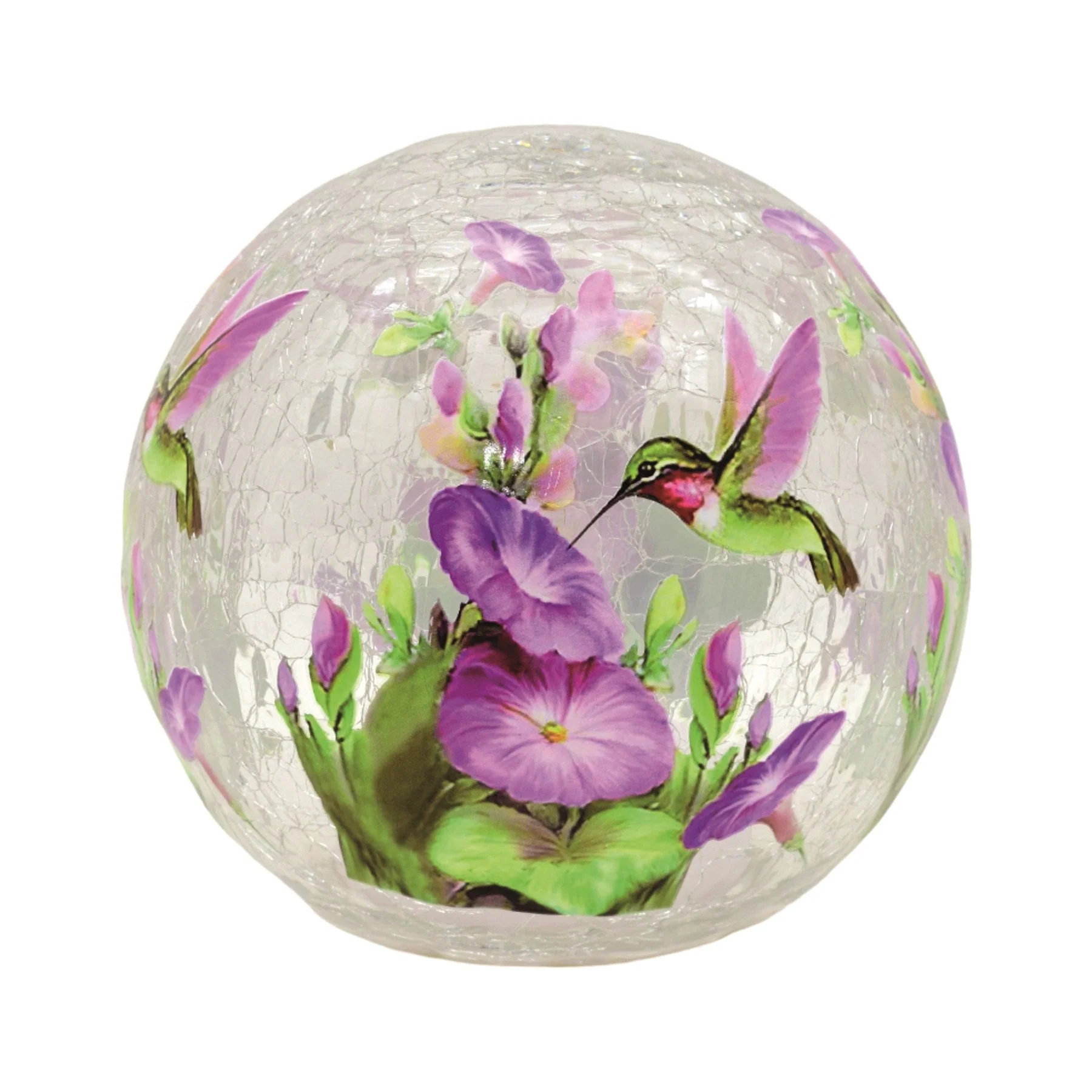 Floral Hummingbird LED Ball