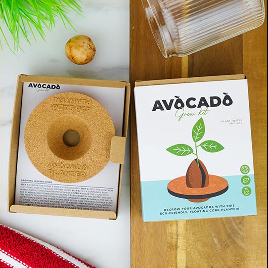 Grow It - Avocado