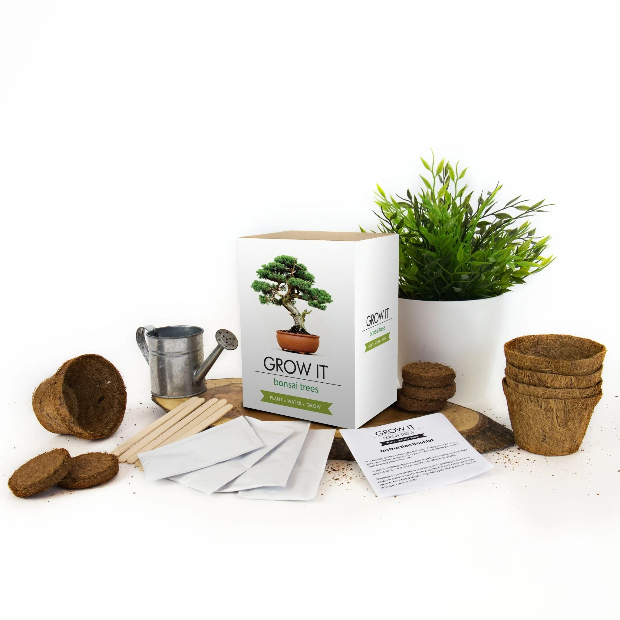 Grow It Bonsai Tree Kit - Image 3