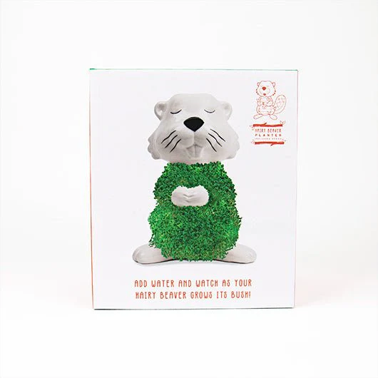 Hairy Beaver Chia Planter Grow Kit