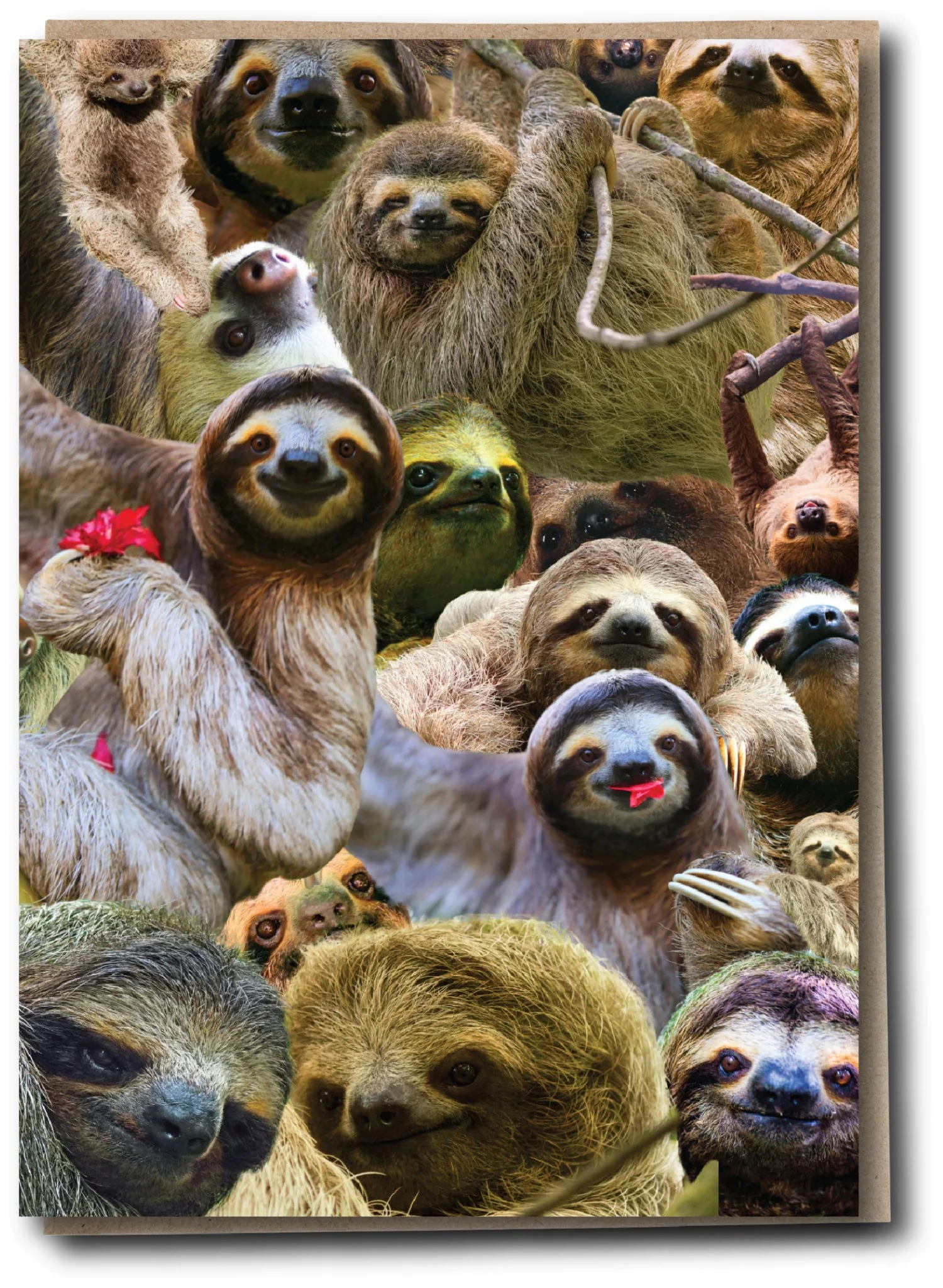 Herd - Sloth Party