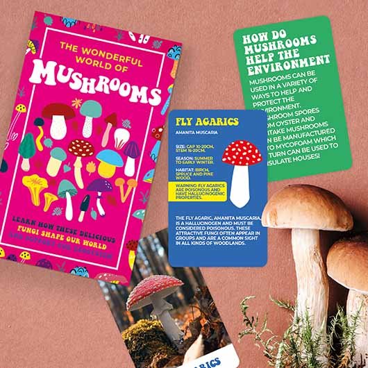 Lifestyle Cards - The Wonderful World of Mushrooms