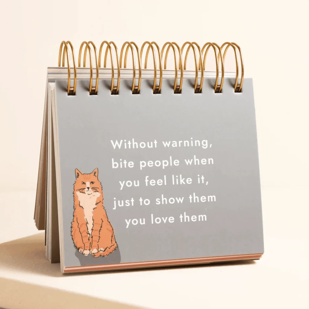 Lisa Angel Be More Cat Desktop Flip Chart - Image 3