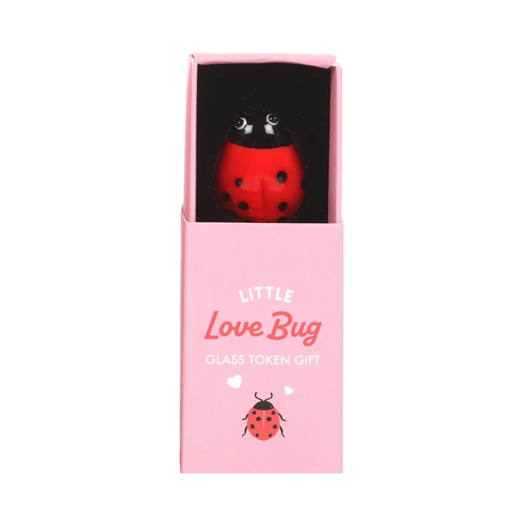 Little Love Bug Ladybird Glass Token Gift
