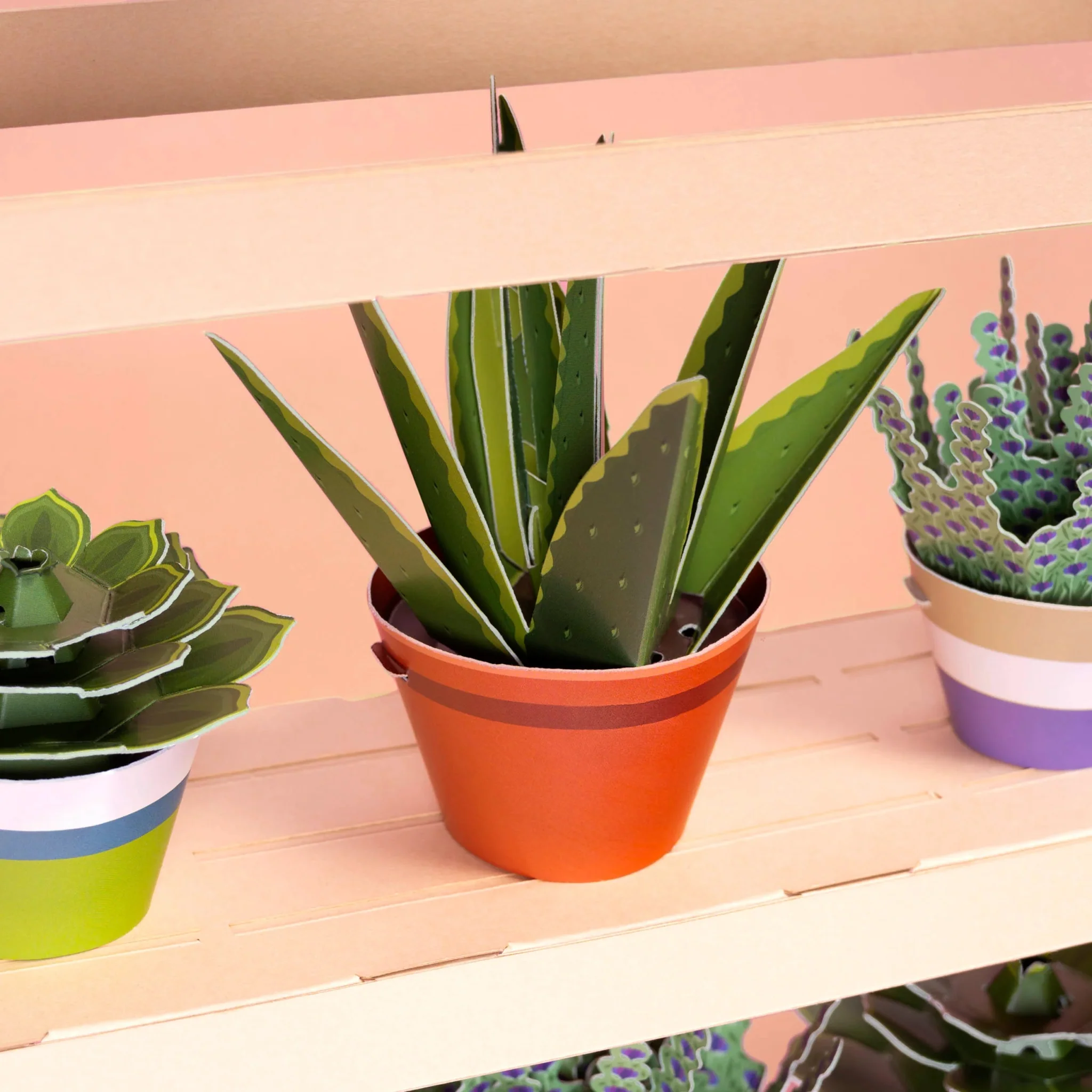 Make Your Own Healing Aloe Vera Paper Plant Kit - Image 4