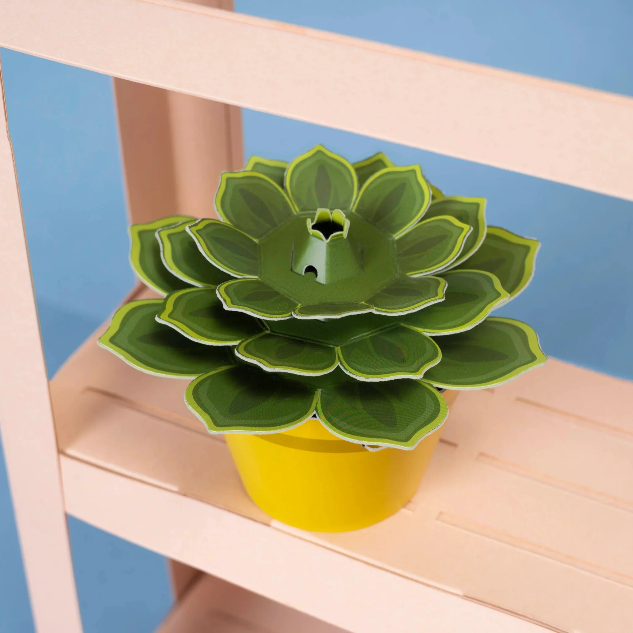 Make Your Own Soothing Succulent Paper Plant Kit - Image 4