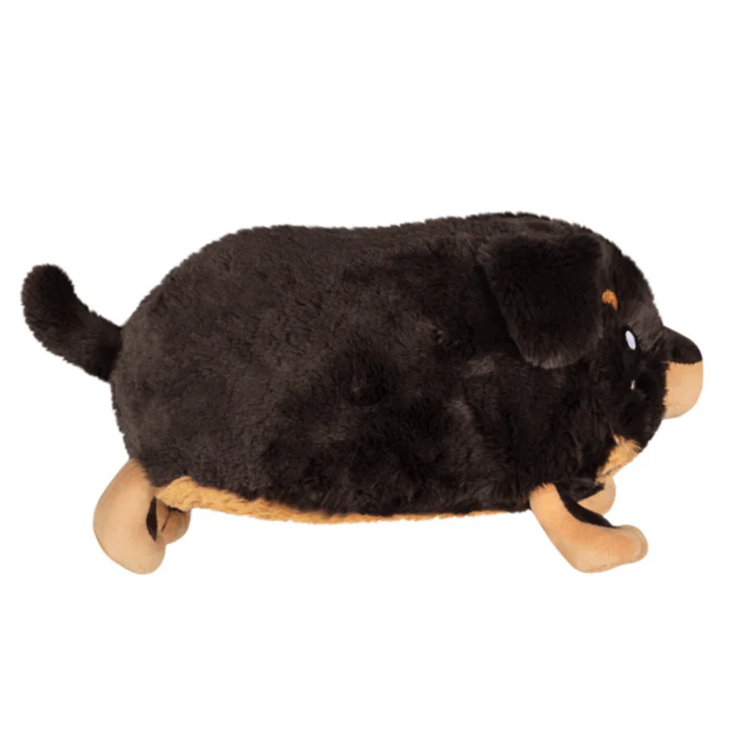 Mini Squishable Fluffy Dachshund - Image 2