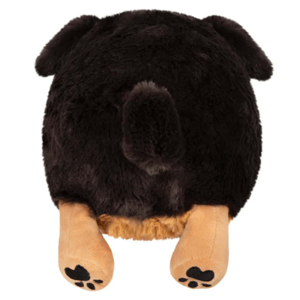 Mini Squishable Fluffy Dachshund - Image 3