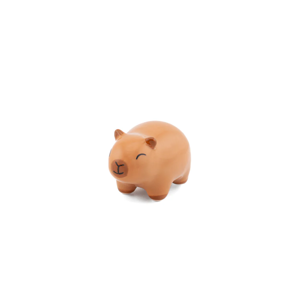 Sass & Belle Capybara Token Pocket Charm Gift