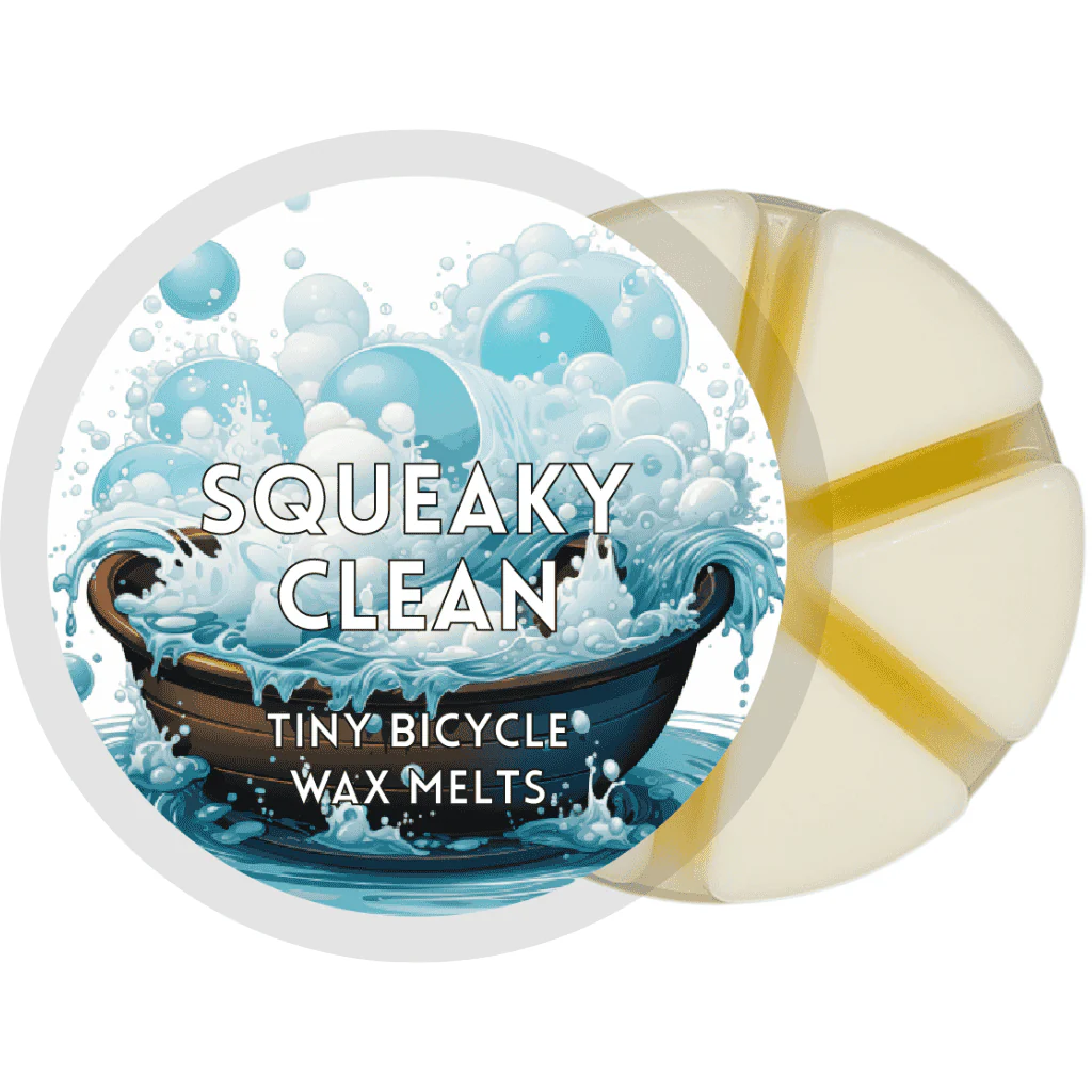 Squeaky Clean Segment Wax Melt