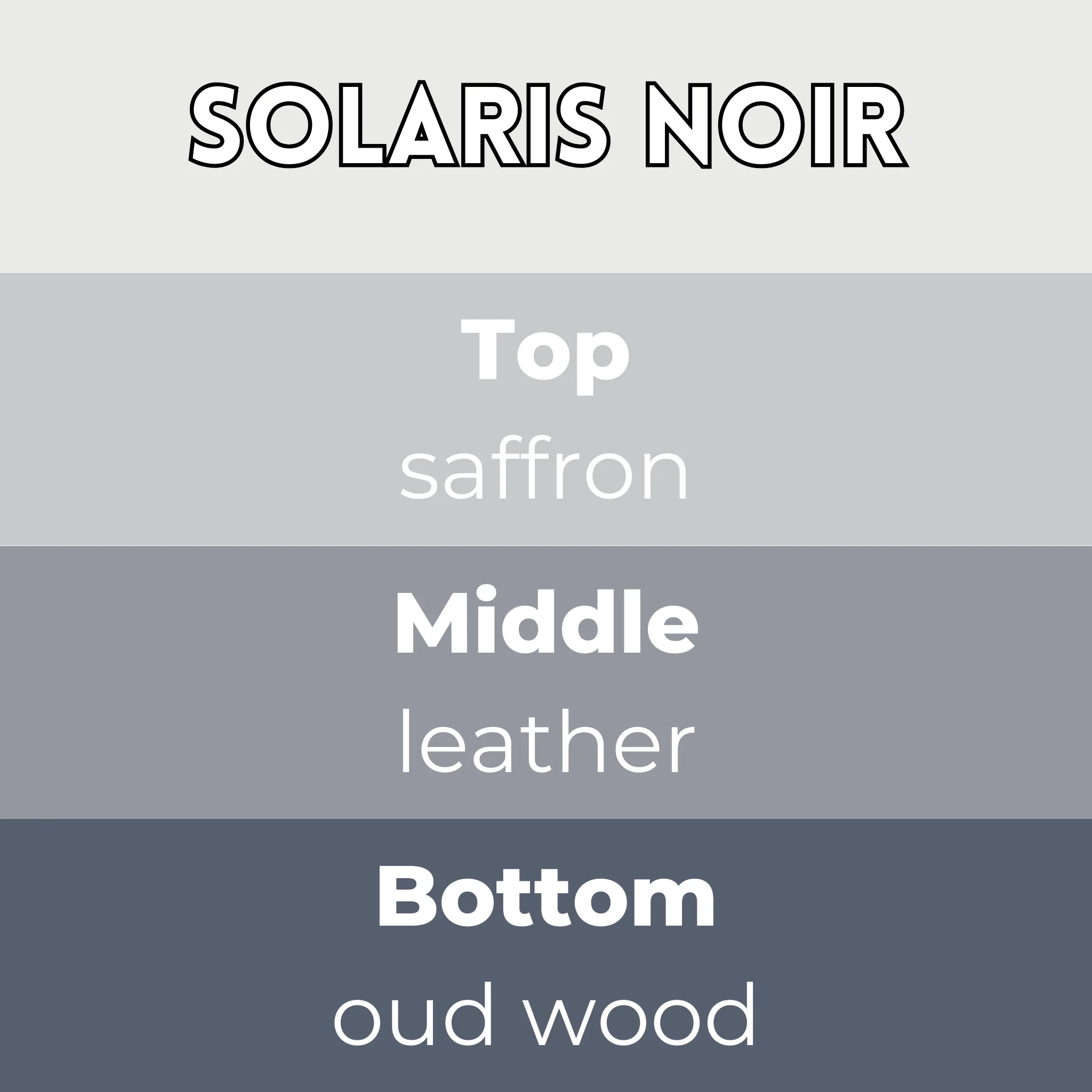 Solaris Noir Segment Wax Melt - Image 2