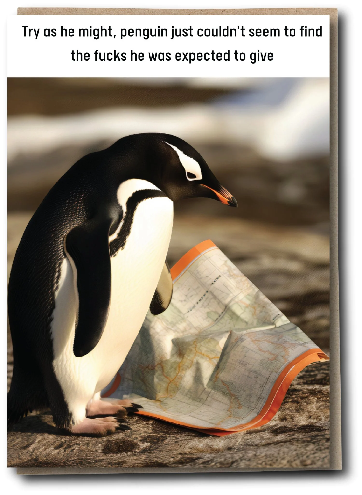 Wild Lives - Penguin