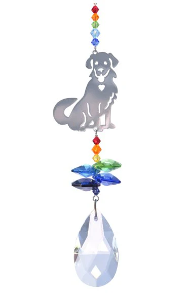 Wild Things Crystal Fantasy Small - Puppy Prismatic