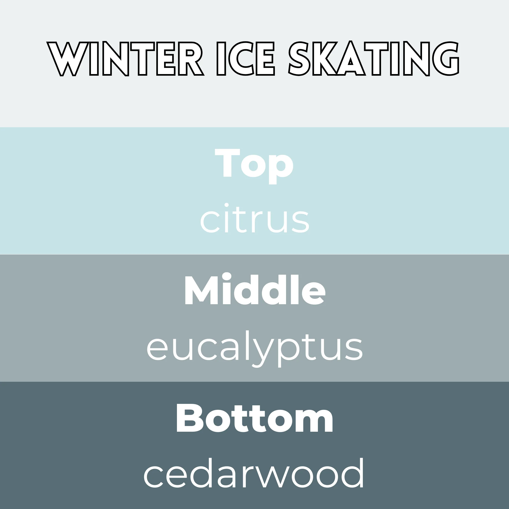Winter Ice Skating Segment Wax Melt - Image 2